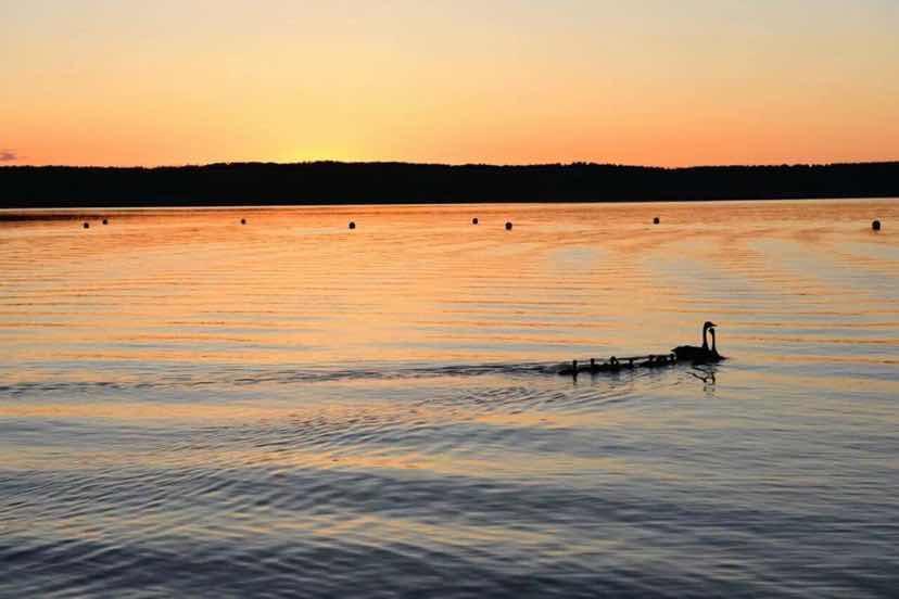 Greenwater Fisherman'S Cove Hotel Porcupine Plain Bagian luar foto